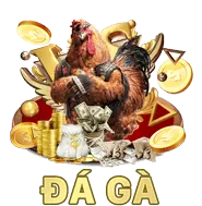 Giải Đấu Đá Gà Lớn